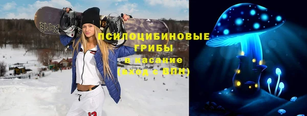 мдпв Куйбышев