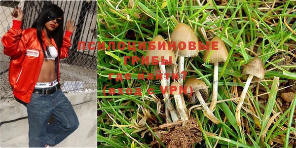 мдпв Куйбышев