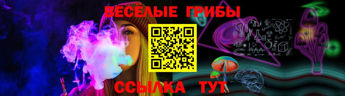 Галлюциногенные грибы GOLDEN TEACHER  Псилоцибиновые грибы мицелий  Вход с VPN  дарнет шоп  Кемерово 