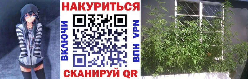 Каннабис White Widow Кемерово